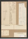 Cymbella gastroides Kuetz. (de-Toni-Nr.: Genus 33, Species 1436) Zeichnungen Sammlung Grunow Nr. 2721 (NHMW-BOT-W0369984)